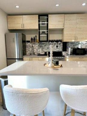Contemporary Downtown Condo